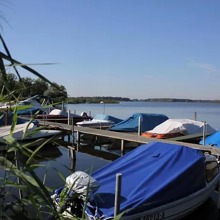 Holiday home In Alt Schadow Mit Grill Und Terrasse *