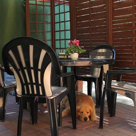 In Alt Schadow Mit Grill Und Terrasse * Markische Heide